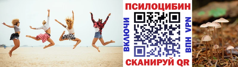 Псилоцибиновые грибы Psilocybe  mega ССЫЛКА  Ясногорск  сколько стоит 